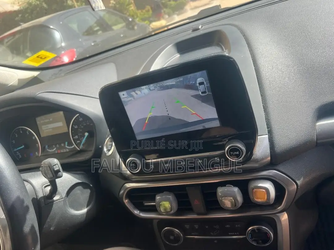 Ford Ecosport 2018 Gris