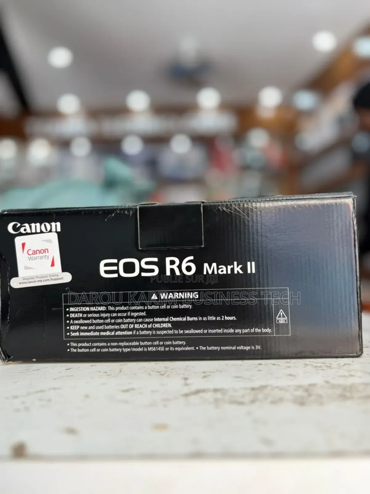 Canon Eos R6 Mark Ii