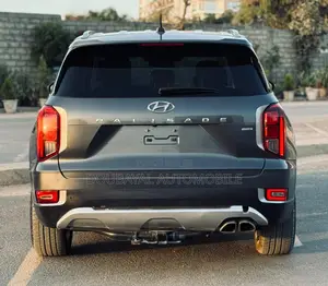 Photo - Hyundai Palissade 2020 Gris