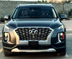Photo - Hyundai Palissade 2020 Gris