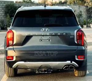 Hyundai Palissade 2020 Gris