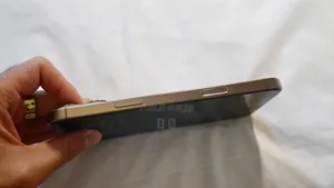 Apple iPhone 16 Pro Max 256 GB Rose