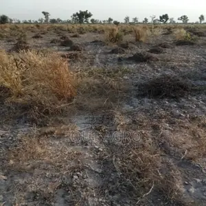 Photo - Terrain De 8 Hectares Vers Pass Koto