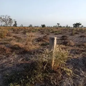 Terrain De 8 Hectares Vers Pass Koto