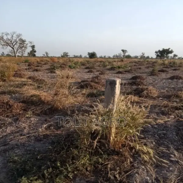 Terrain De 8 Hectares Vers Pass Koto