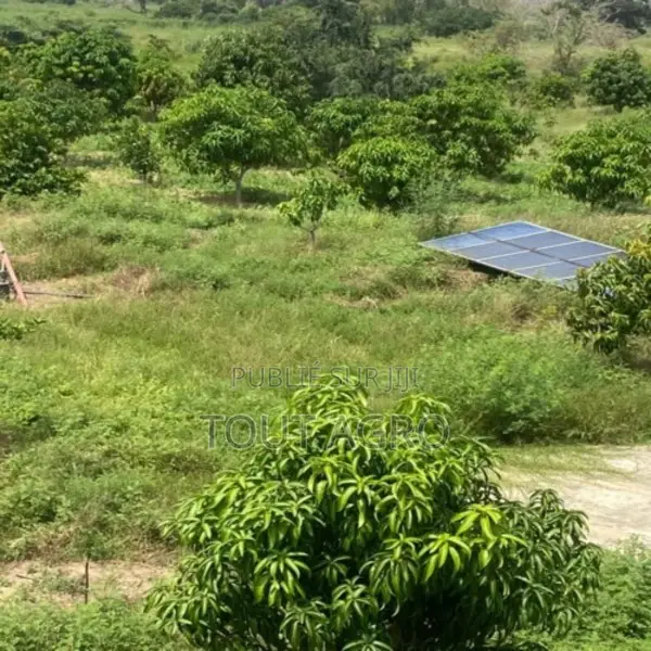 Exploitation Agricole De 2,50 Hectares Vers Sandiara