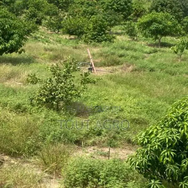Exploitation Agricole De 2,50 Hectares Vers Sandiara