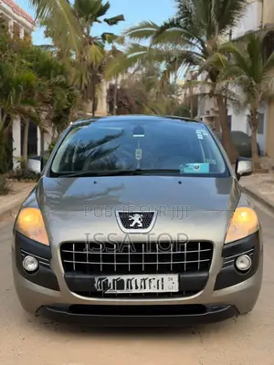 Photo - Peugeot 3008 2013 Gris