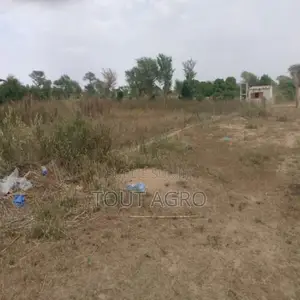 Photo - Exploitation Agricole De 1,04 Hectare Vers Touba Toul