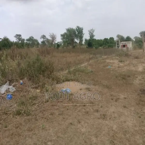 Exploitation Agricole De 1,04 Hectare Vers Touba Toul