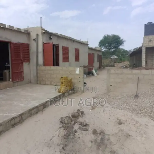 Exploitation Agricole De 1,04 Hectare Vers Touba Toul