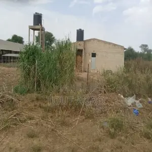 Exploitation Agricole De 1,04 Hectare Vers Touba Toul