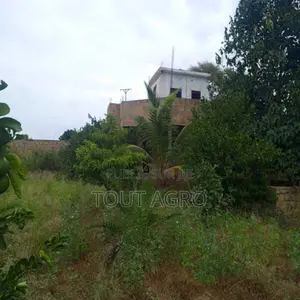 Photo - Verger De 1,87 Hectare Vers Tassette