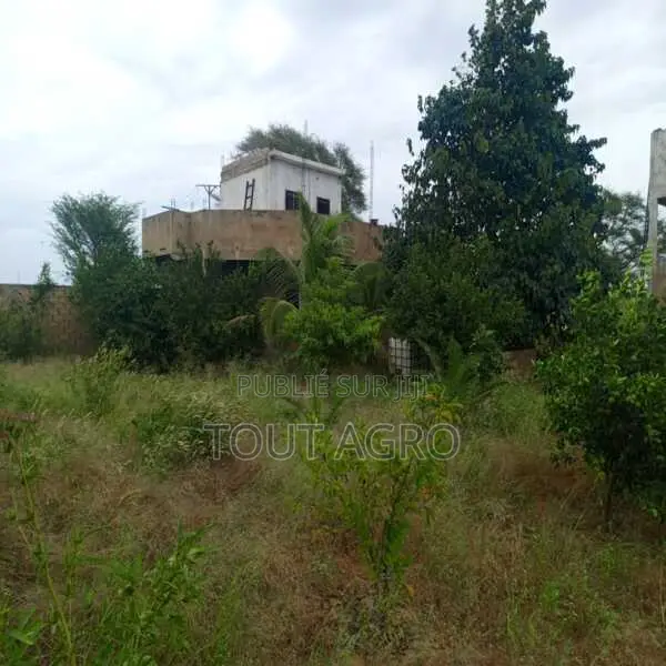 Verger De 1,87 Hectare Vers Tassette