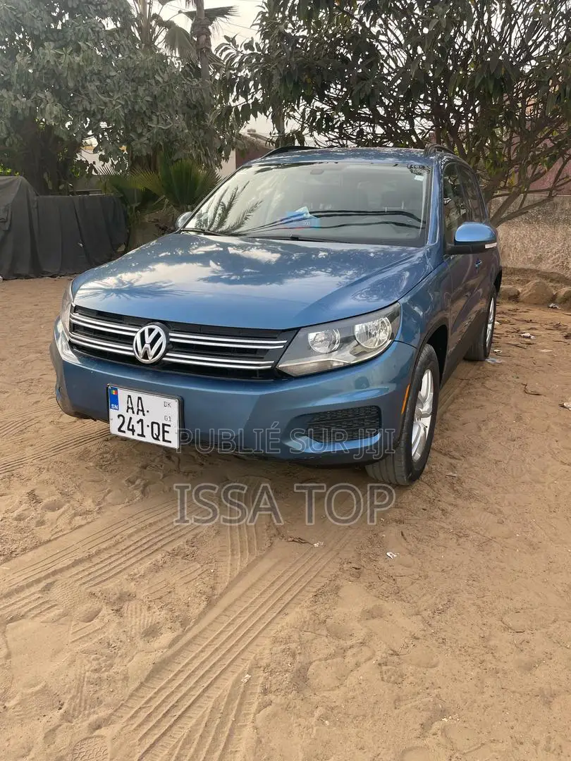 Volkswagen Tiguan 2017 Blue