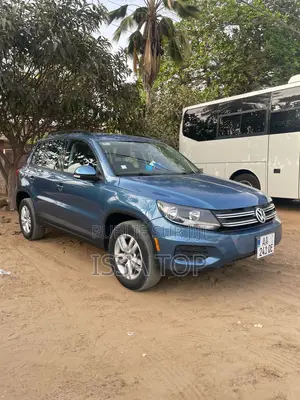 Volkswagen Tiguan 2017 Blue