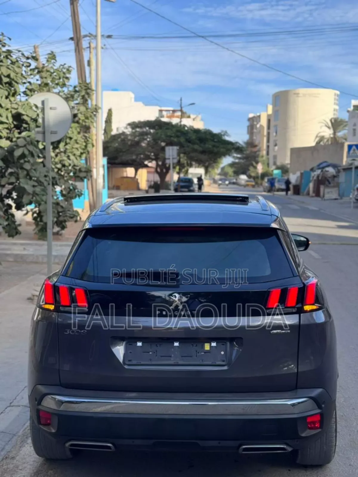 Peugeot 3008 2020 Gris