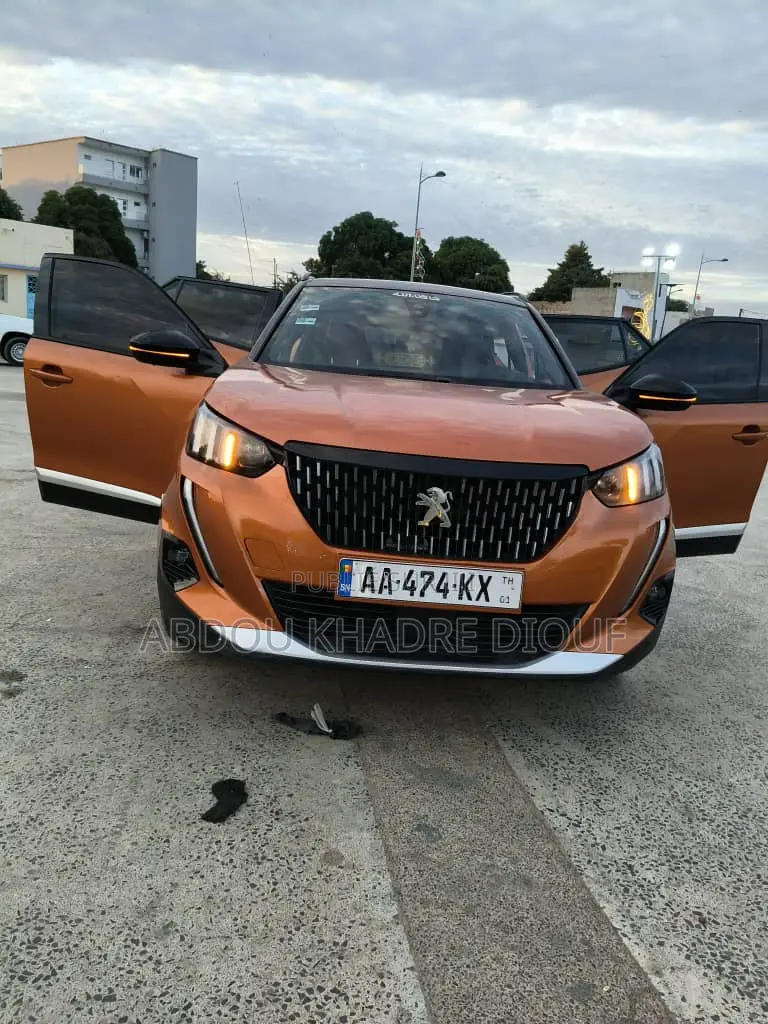 Peugeot 2008 1.2 PureTech (100 Hp) 2020 Orange