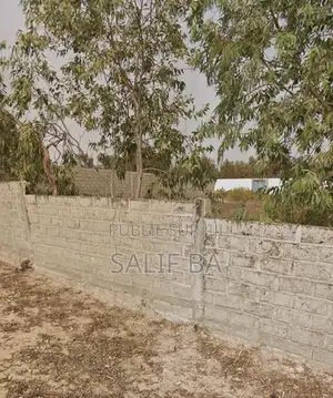 Photo - À Vendre – Terrain 1.300 M2 Au Lac Rose