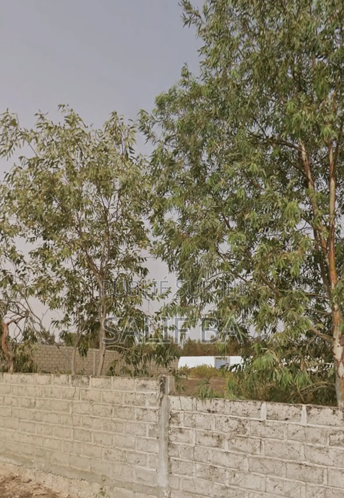 À Vendre – Terrain 1.300 M2 Au Lac Rose