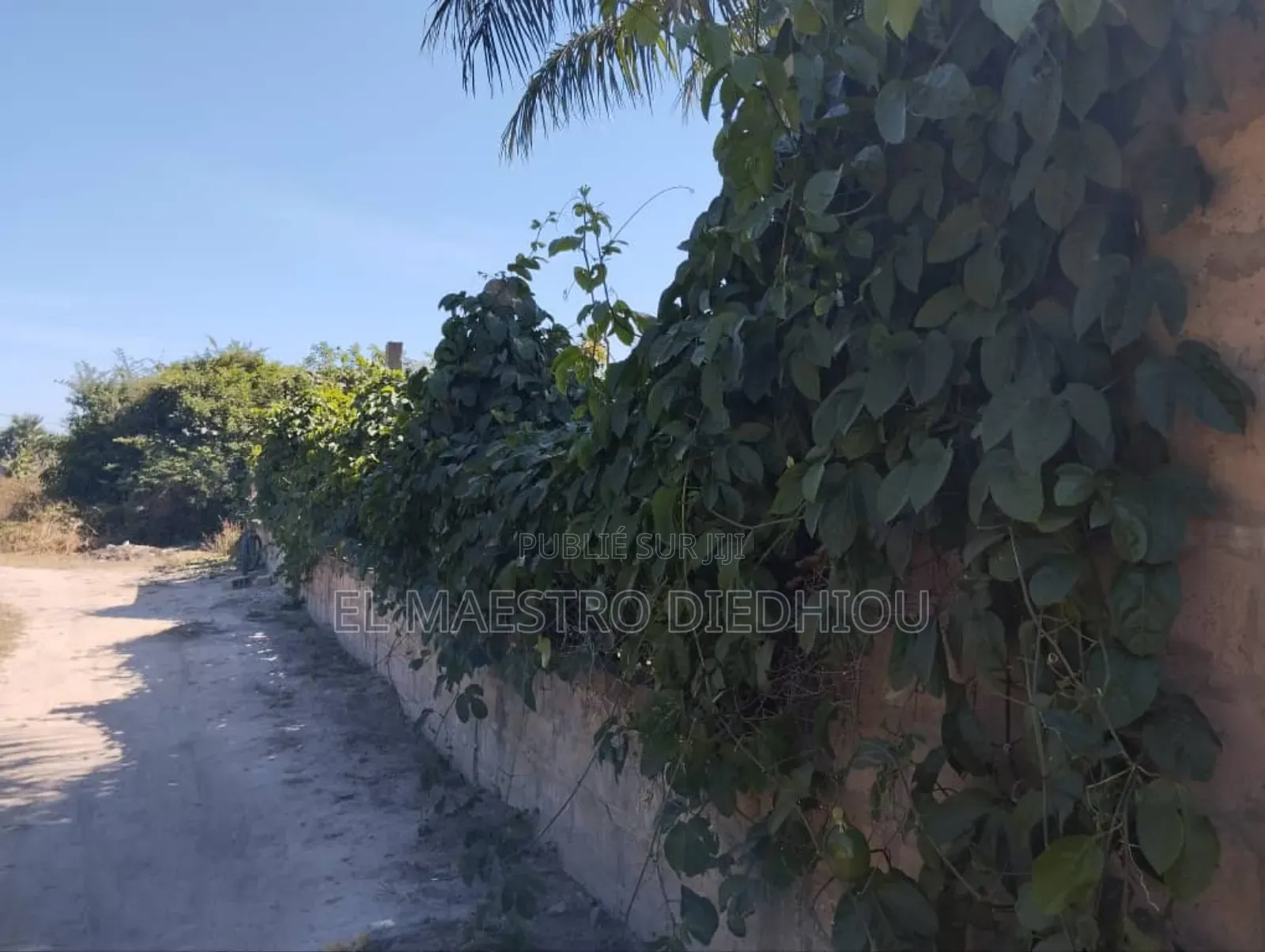 Furnished 5chbre Chambre et salon dans Auberge À Vendre, Kabrousse