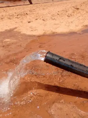 Champs 1ha À Vendre À Cayar