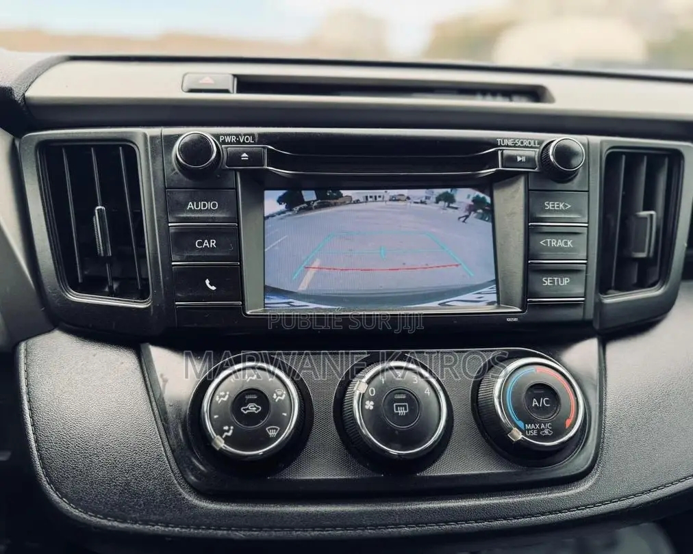 Toyota RAV4 2018 Gris