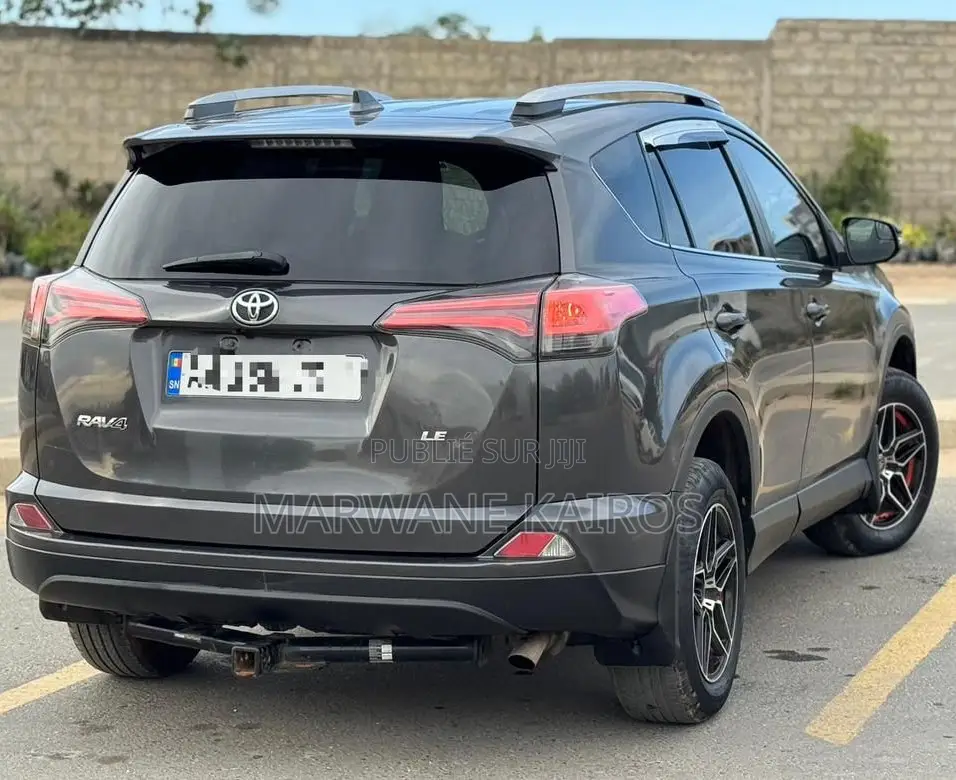 Toyota RAV4 2018 Gris