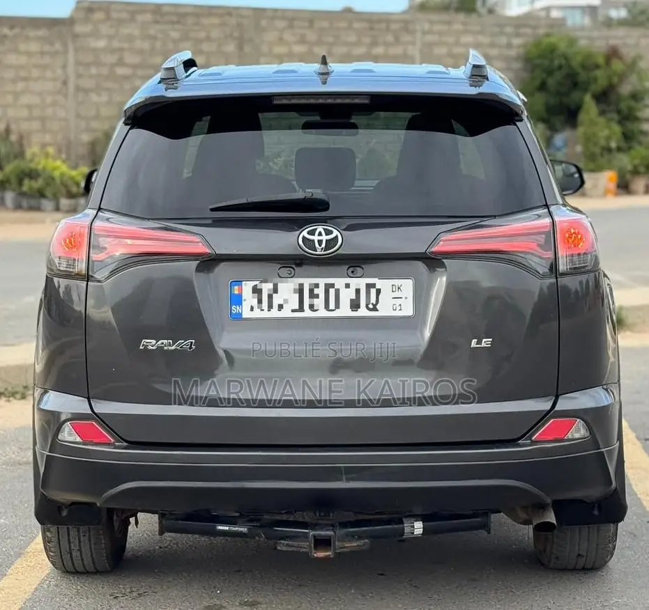 Toyota RAV4 2018 Gris