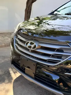 Hyundai Santa Fe Limited Ultimate AWD 2017 Black