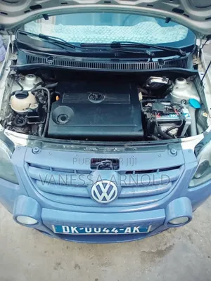Volkswagen Fox 2010 Vert