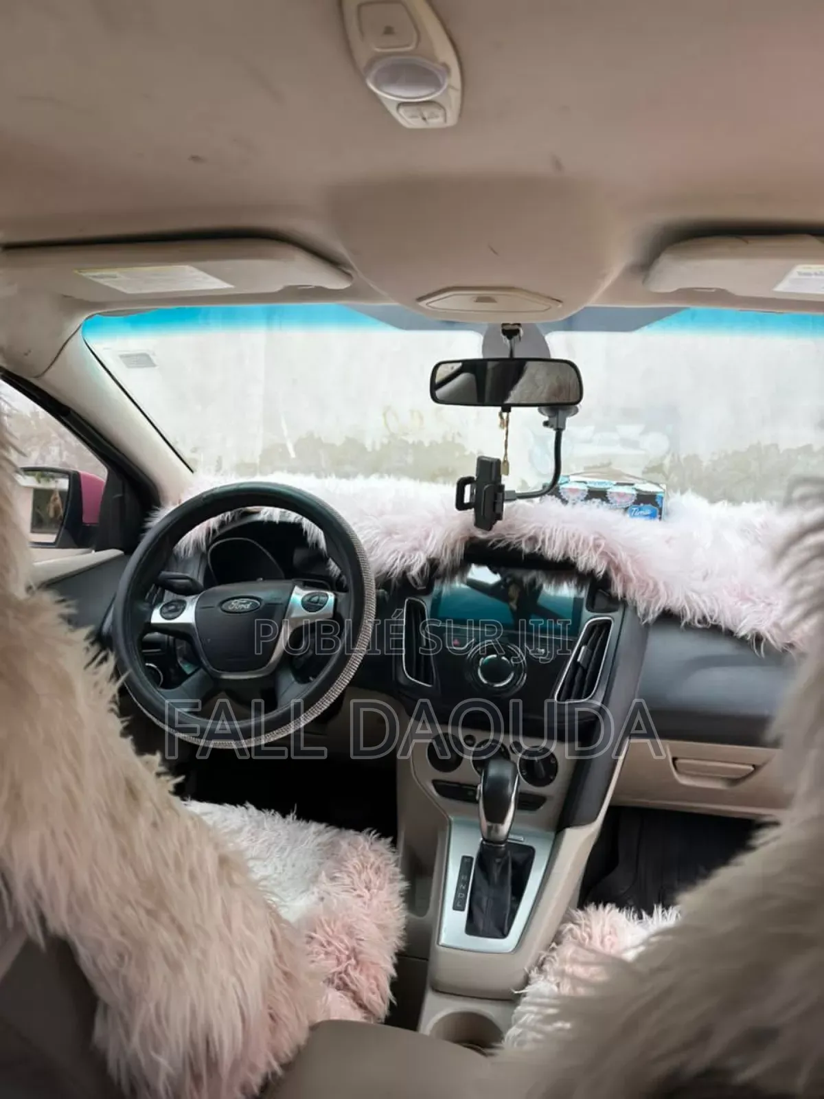 Ford Focus 2013 Rose