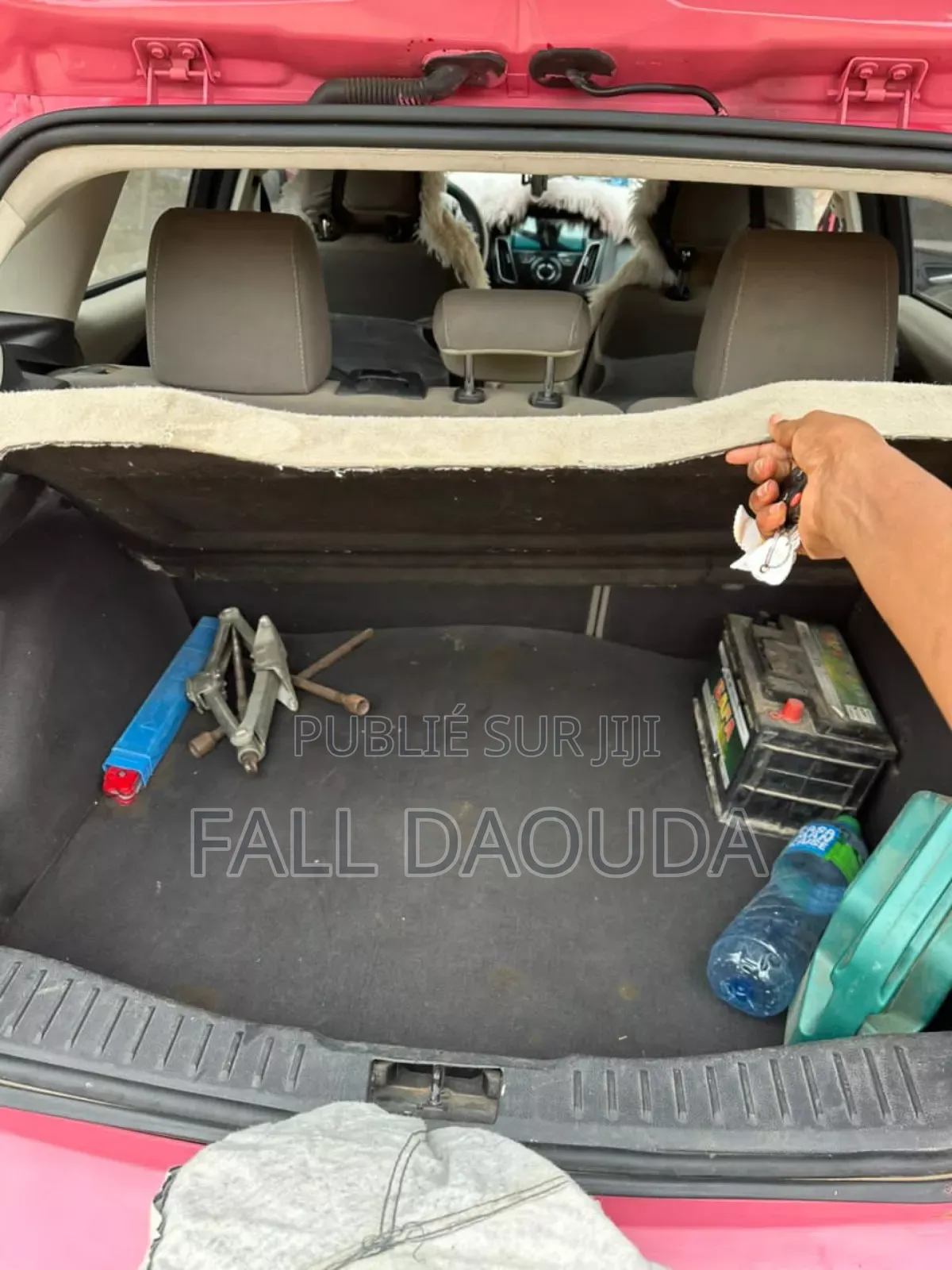 Ford Focus 2013 Rose