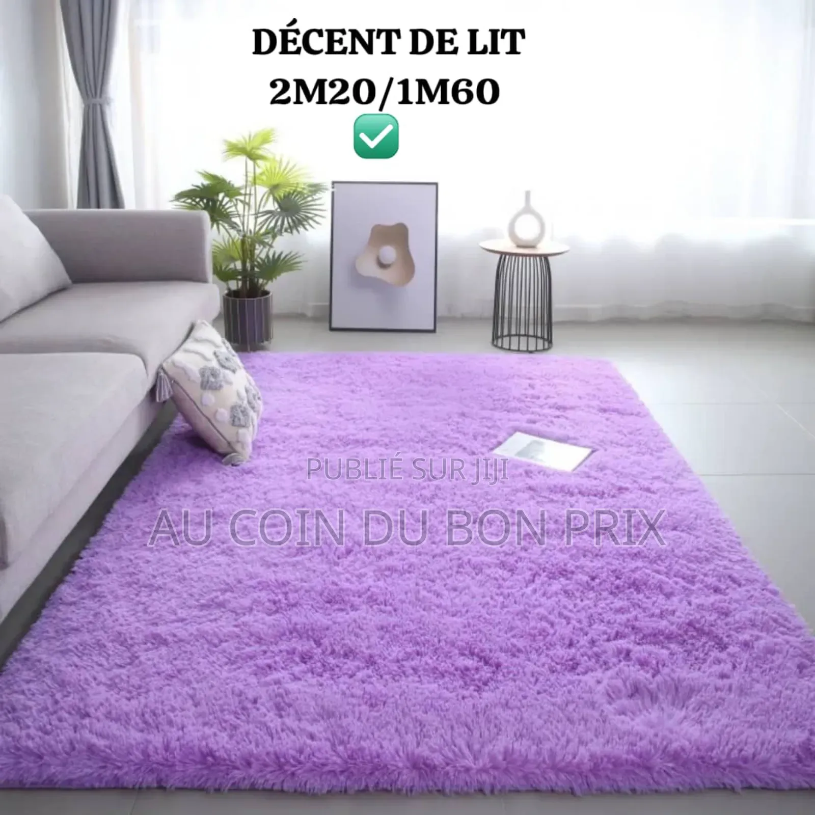 Descente Du Lit 2m20/1m60