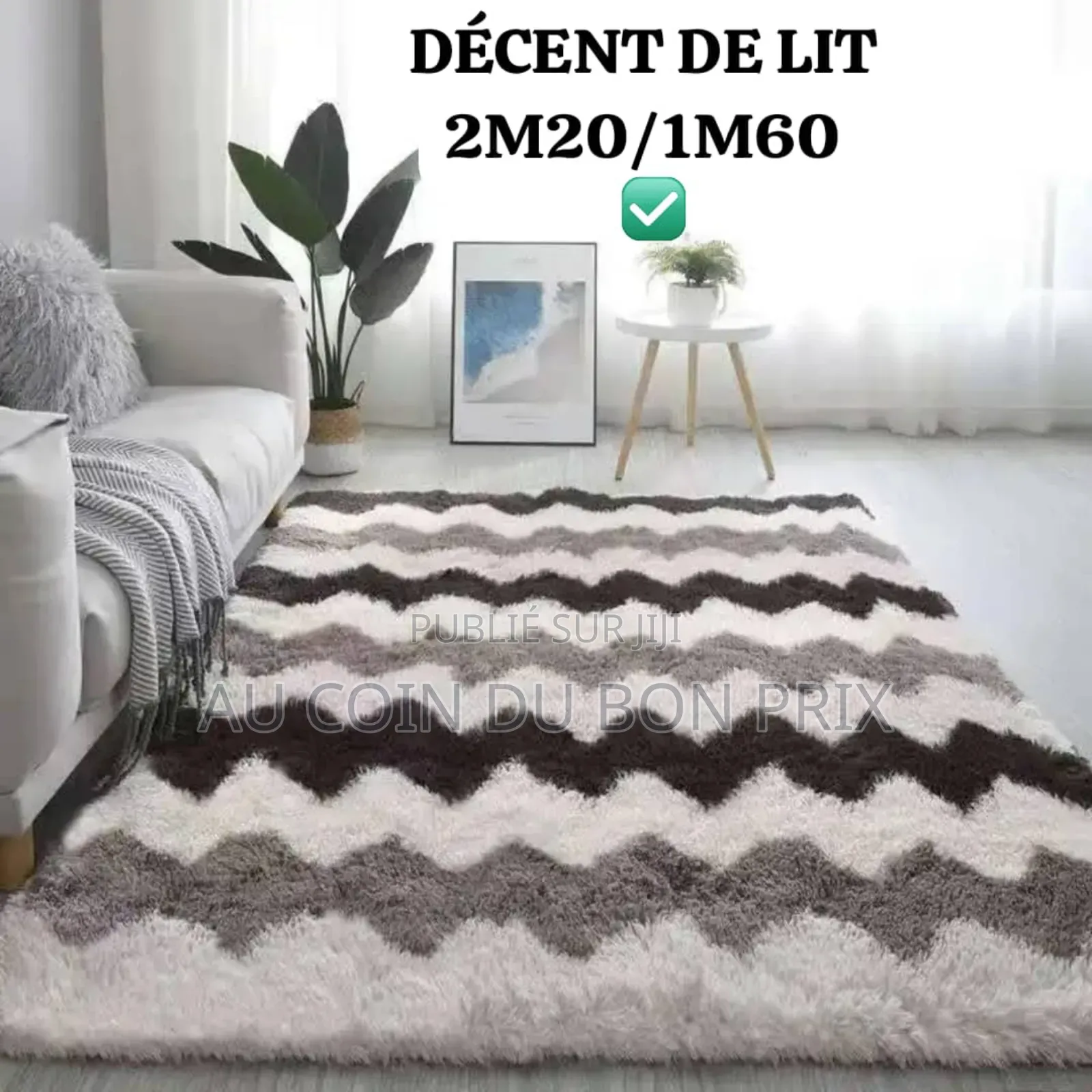 Descente Du Lit 2m20/1m60
