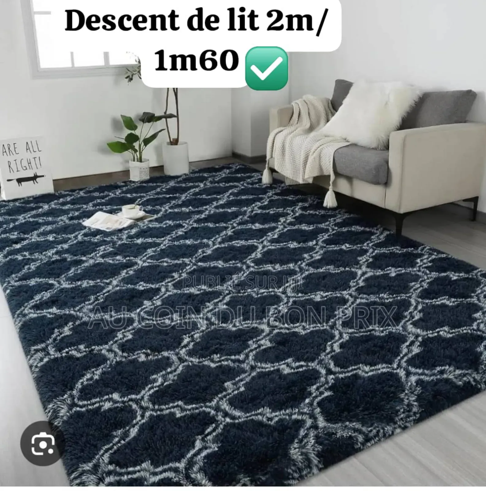 Descente Du Lit 2m20/1m60