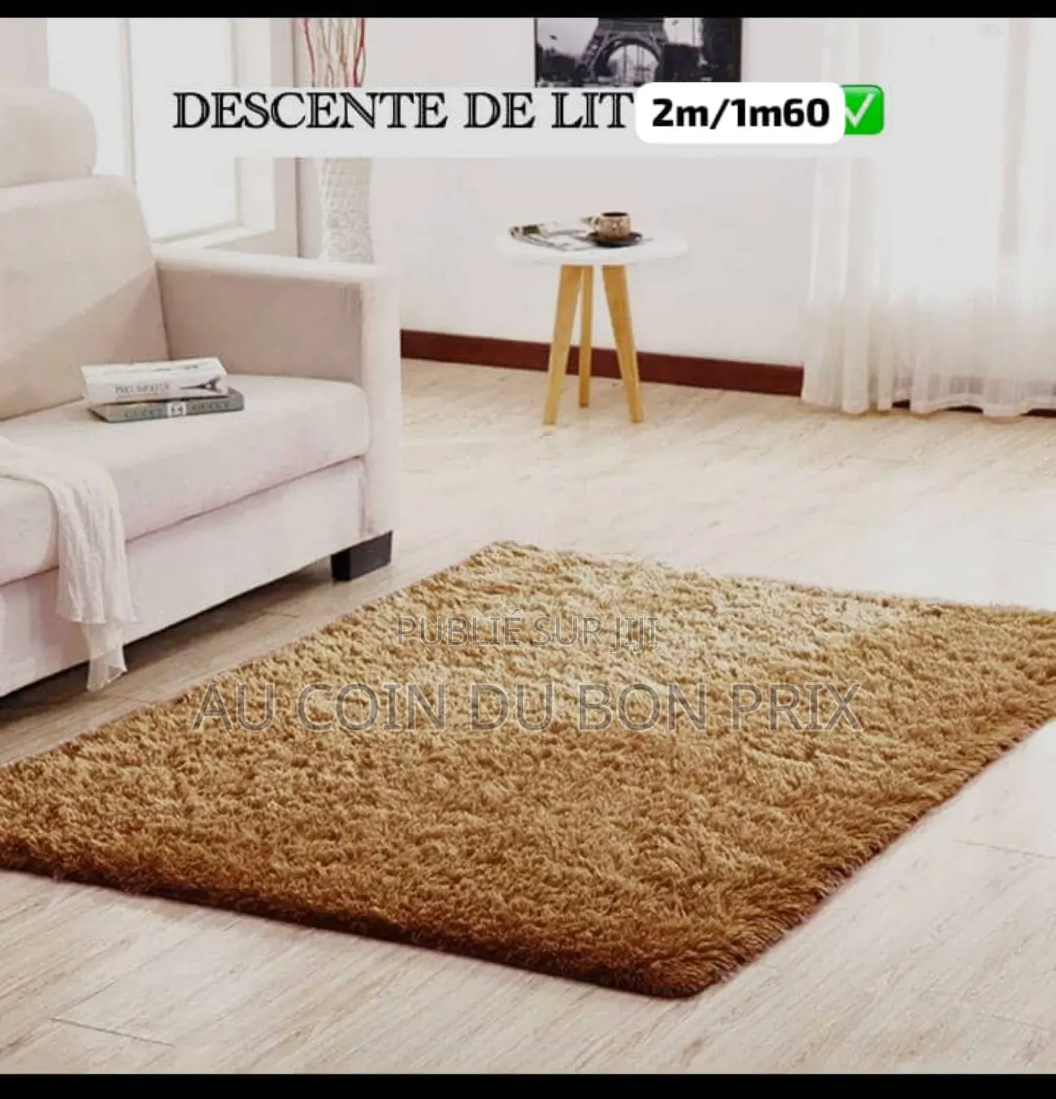 Descente Du Lit 2m20/1m60