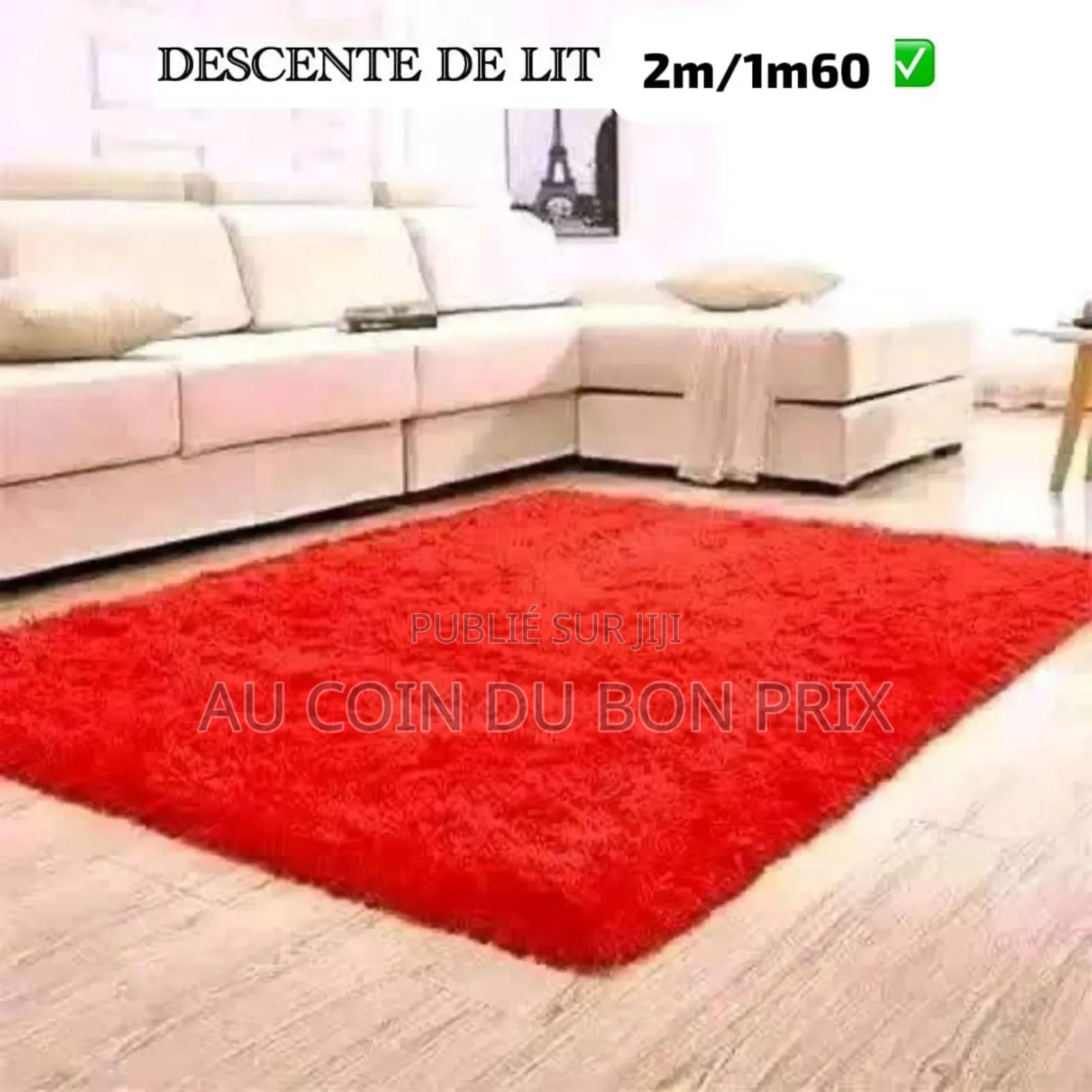 Descente Du Lit 2m20/1m60