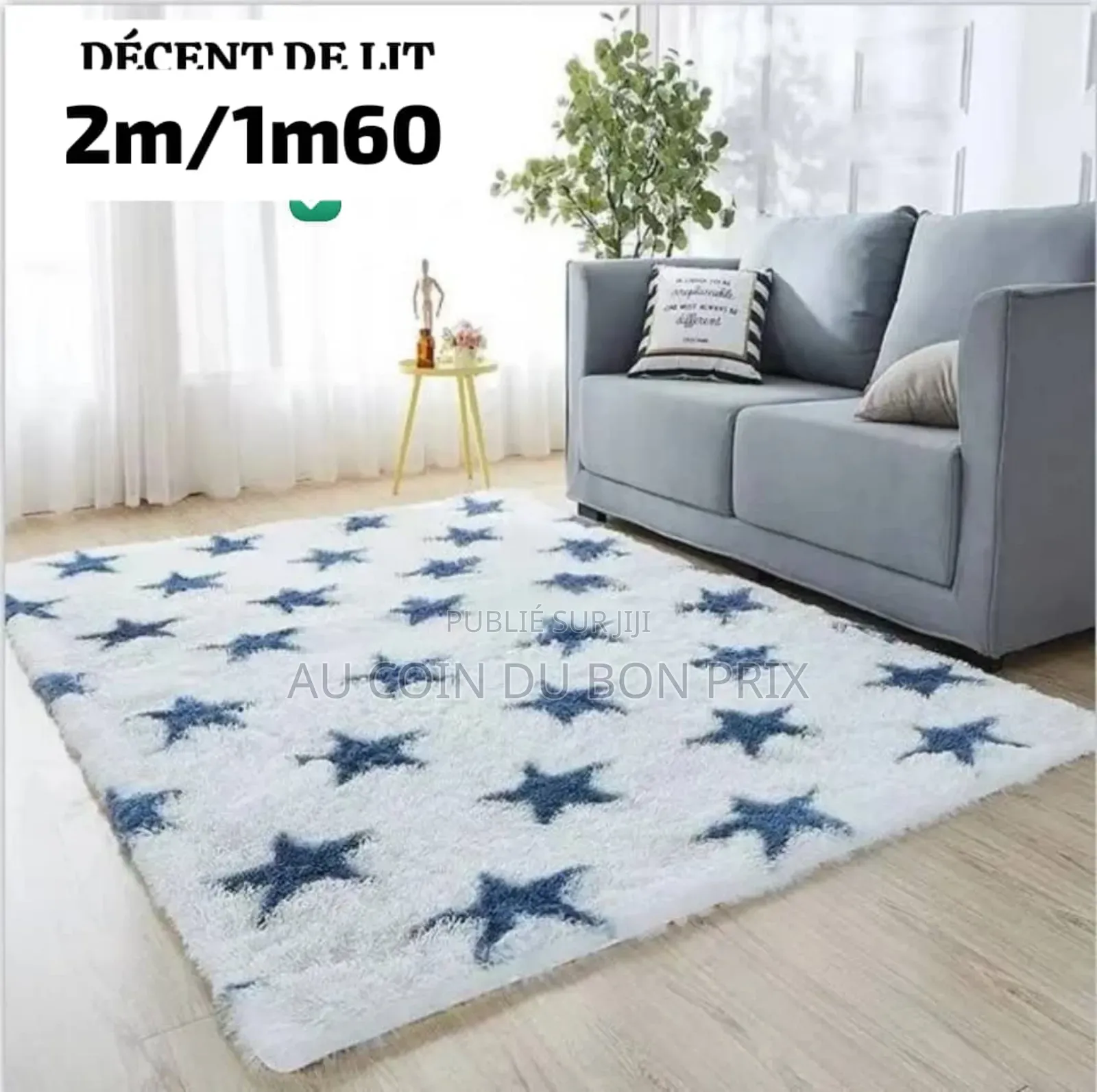 Descente Du Lit 2m20/1m60