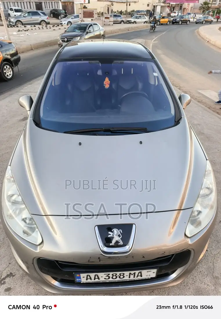 Peugeot 308 2011 Gris