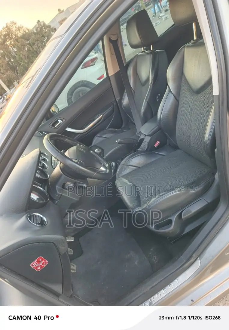 Peugeot 308 2011 Gris