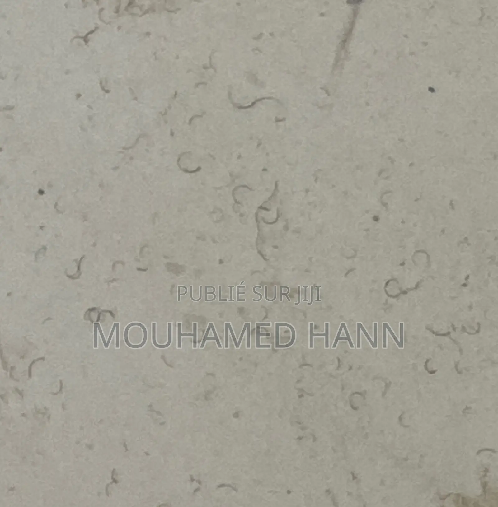 Mazda CX-50 2023 Blue