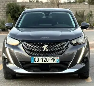 Photo - Peugeot 2008 2023 Gris