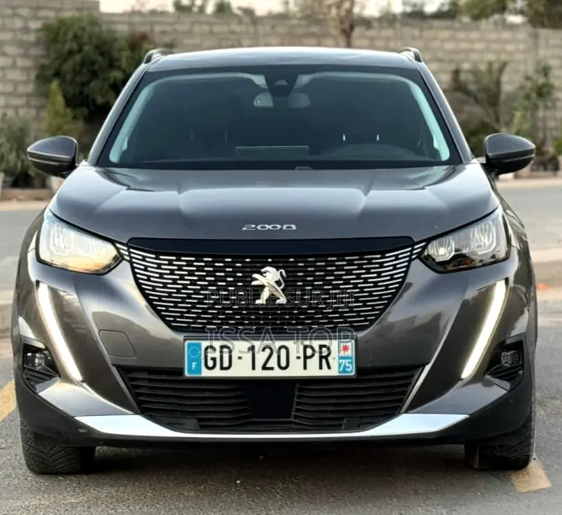Peugeot 2008 2023 Gris