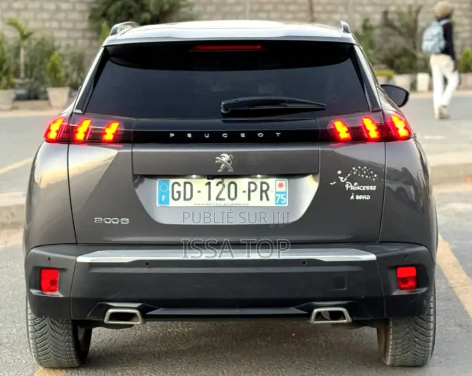 Peugeot 2008 2023 Gris