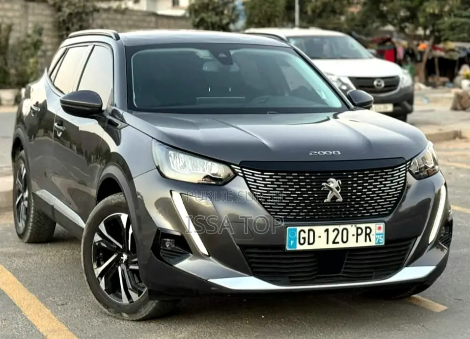 Peugeot 2008 2023 Gris
