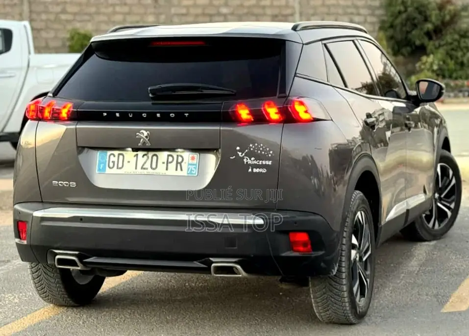 Peugeot 2008 2023 Gris