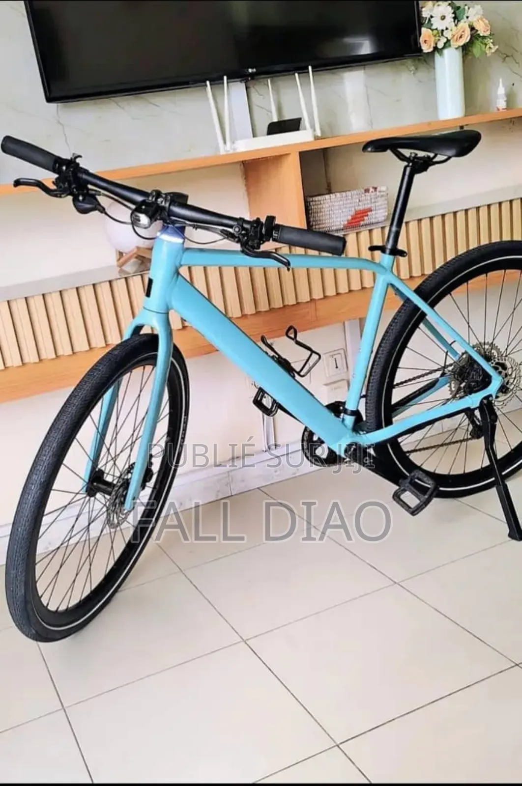 Vélo Électrique À Vendre