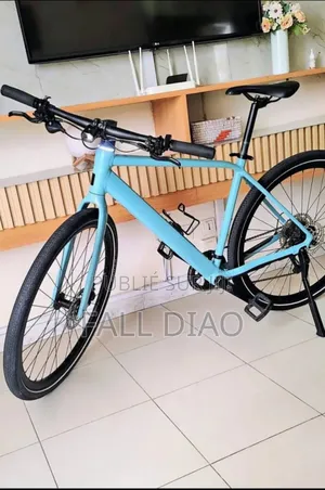 Vélo Électrique À Vendre