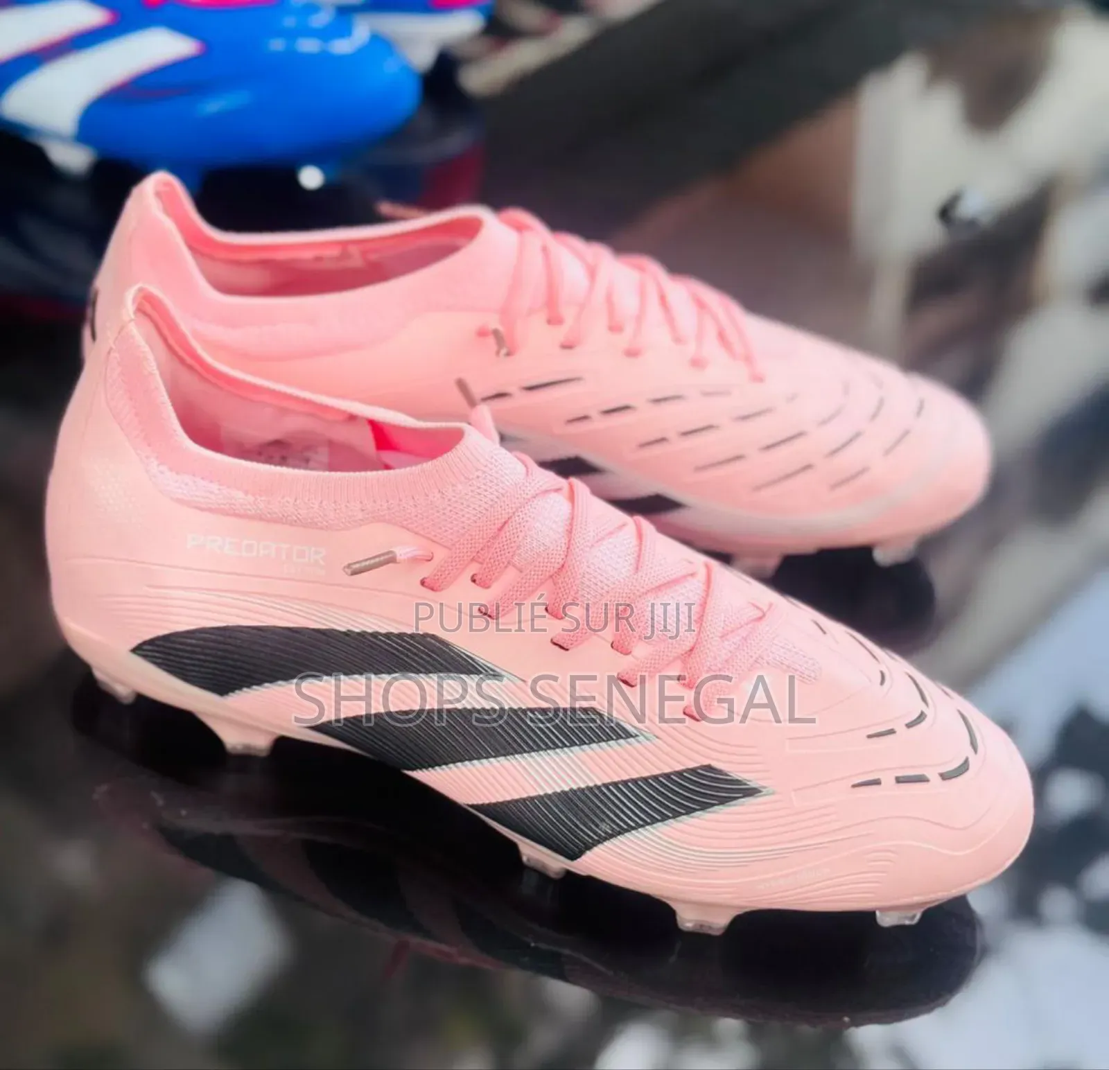 Predator Control Pro